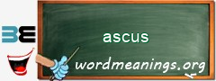 WordMeaning blackboard for ascus